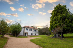 Finca Bacelo Ribeira Sacra